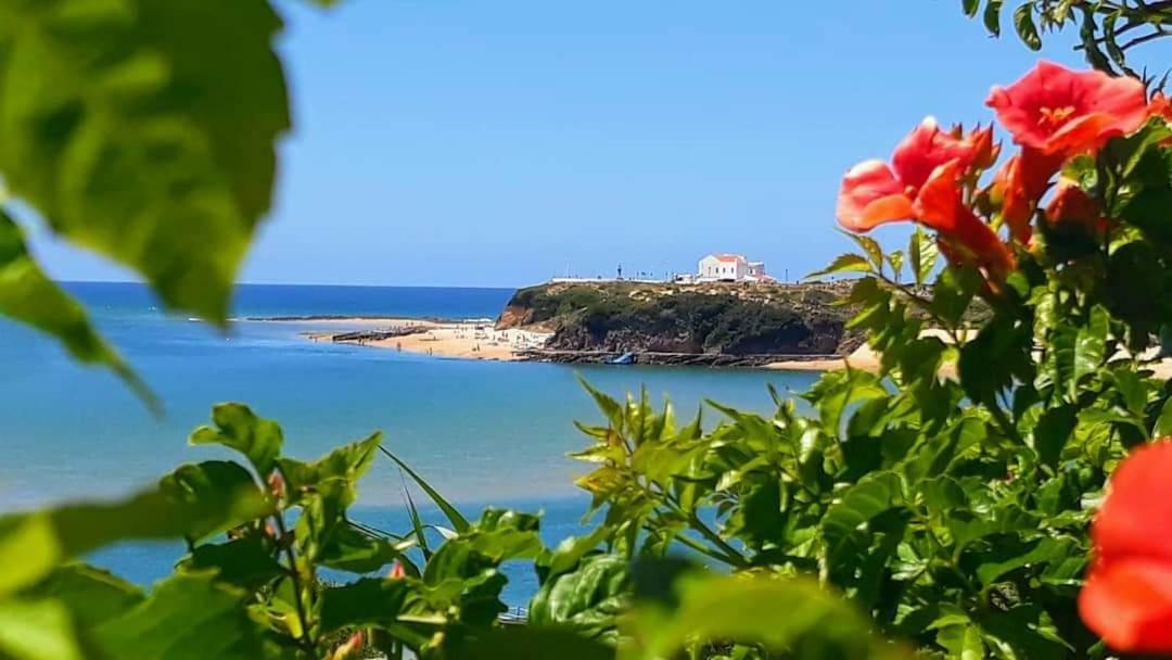 Casa Da Zi Villa Vila Nova de Milfontes Dış mekan fotoğraf